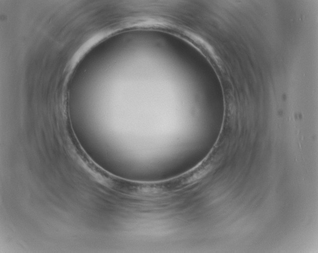 X0000060741375200511241627