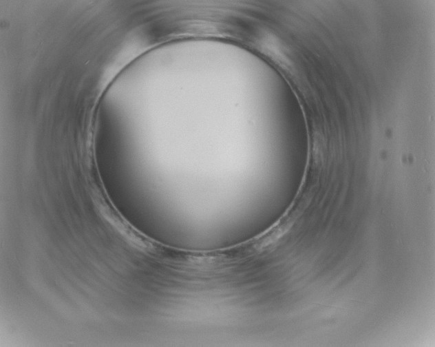 X0000060741378200511241627