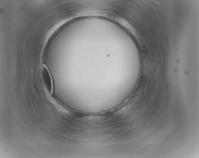 X0000060741380200511241627