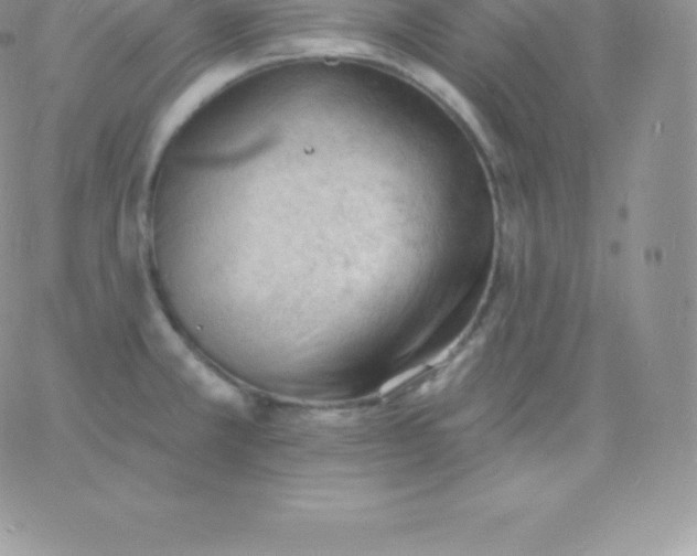 X0000060741381200511241627