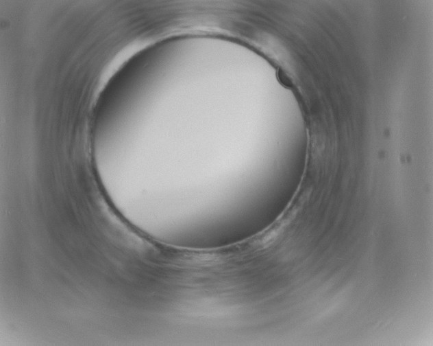 X0000060741382200511241627