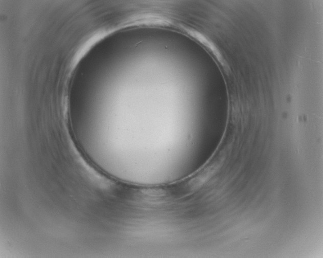 X0000060741383200511241627