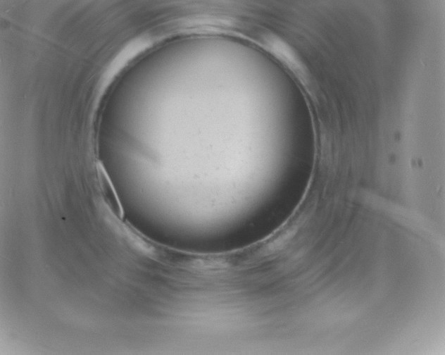 X0000060741384200511241627