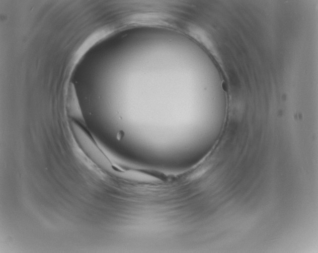 X0000060741386200511241627