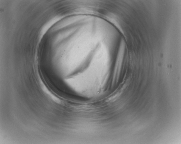 X0000060741387200511241627