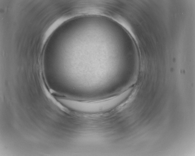 X0000060741389200511241627