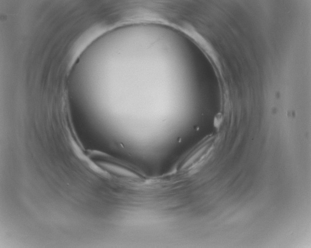 X0000060741390200511241627