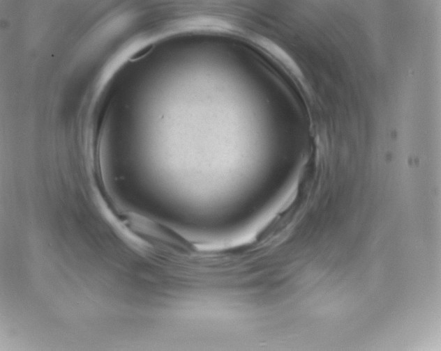 X0000060741391200511241627