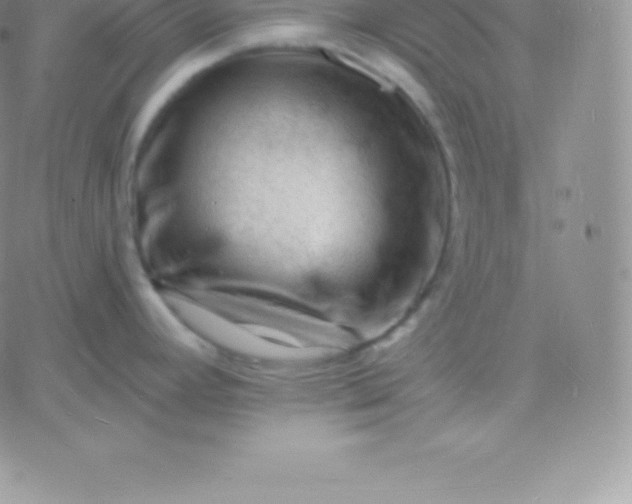 X0000060741392200511241627