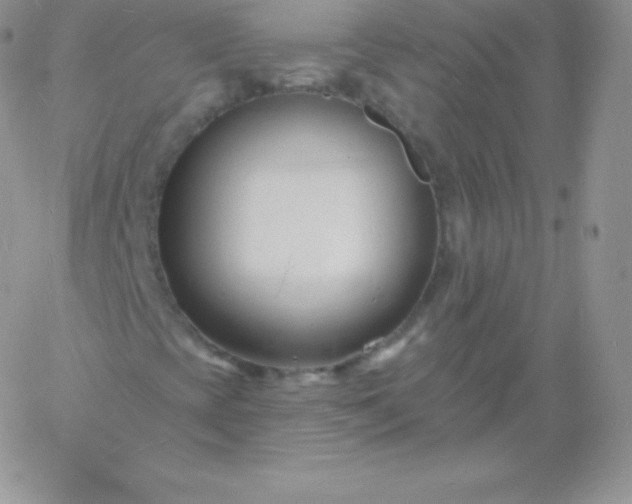 X0000060741393200511241626