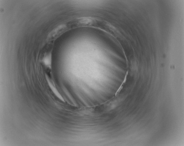 X0000060741394200511241626