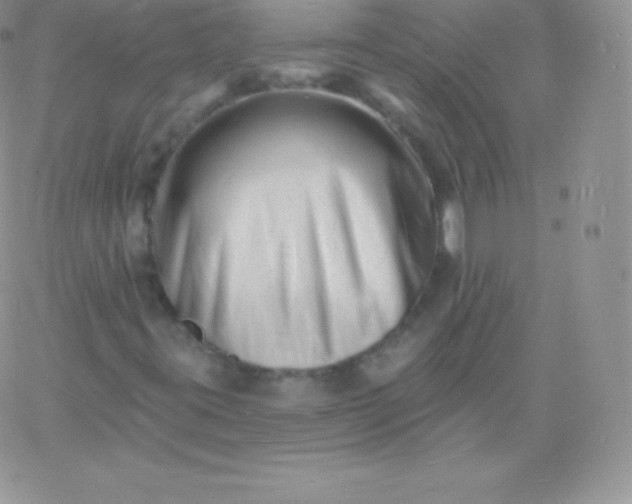 X0000060741395200511241626