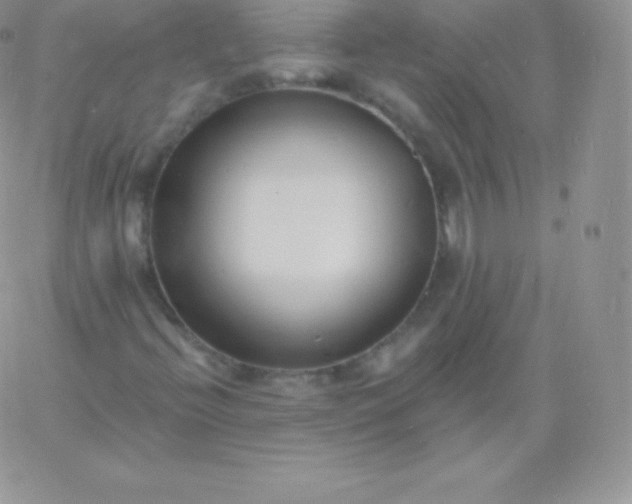 X0000060741396200511241626