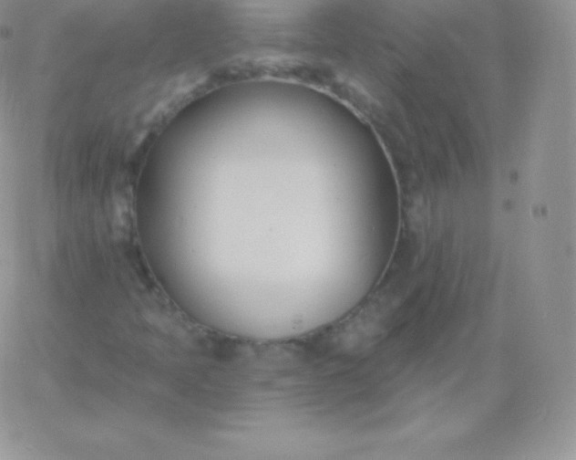 X0000060741397200511241626