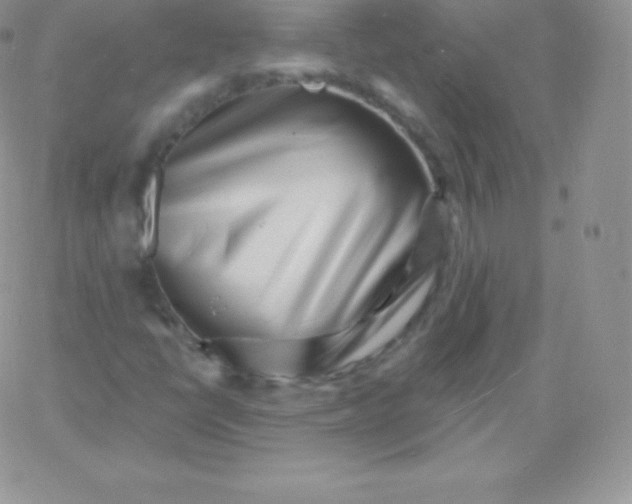 X0000060741398200511241626