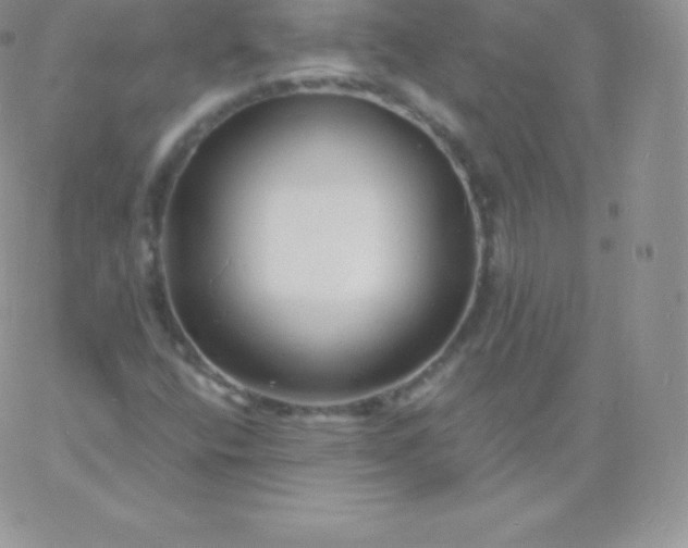 X0000060741400200511241626