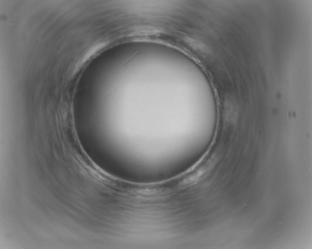 X0000060741401200511241626