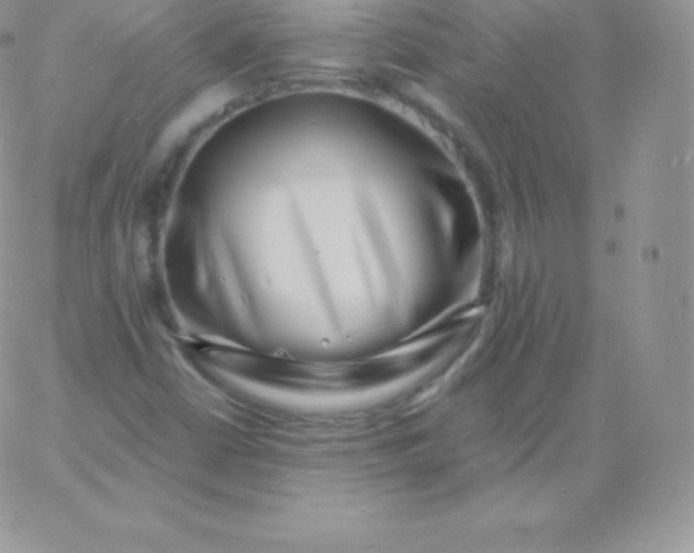 X0000060741402200511241626