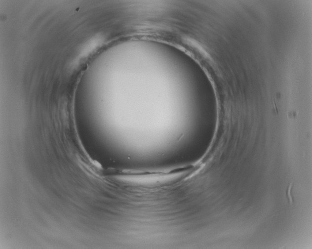 X0000060741403200511241626