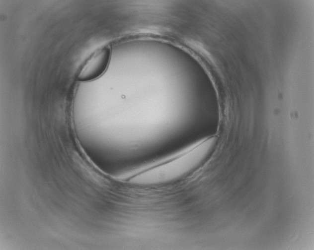 X0000060741404200511241626