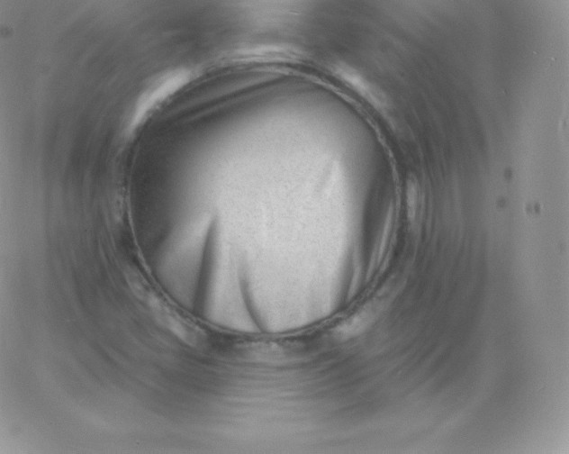 X0000060741405200511241626