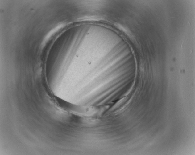 X0000060741406200511241626