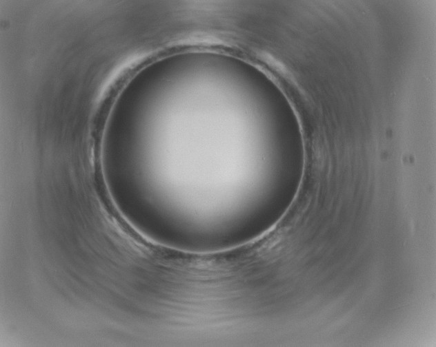 X0000060741408200511241626