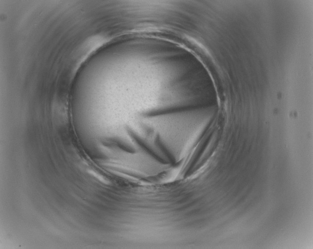 X0000060741409200511241626