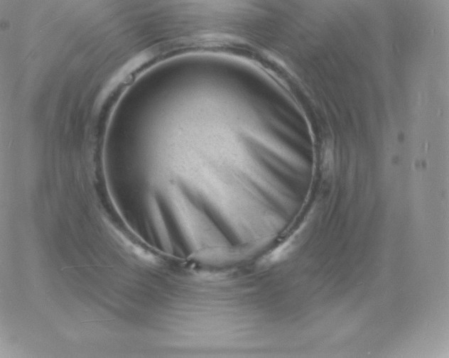 X0000060741410200511241626