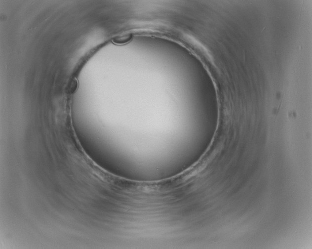 X0000060741411200511241626