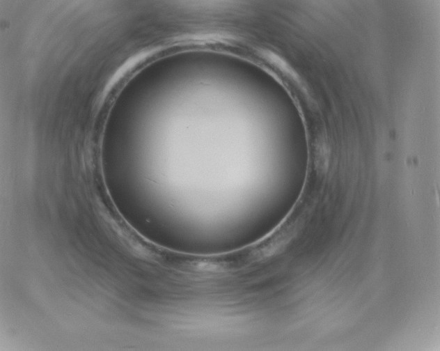 X0000060741412200511241626