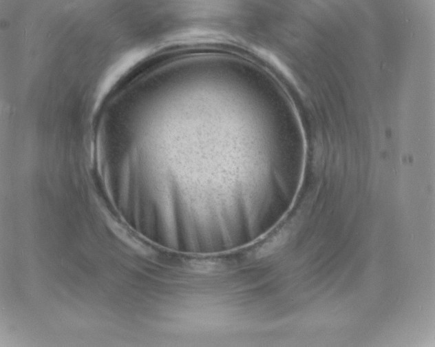 X0000060741413200511241626