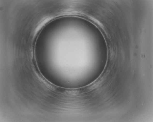 X0000060741415200511241626