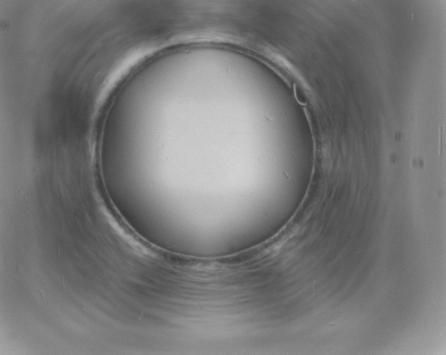 X0000060741416200511241626