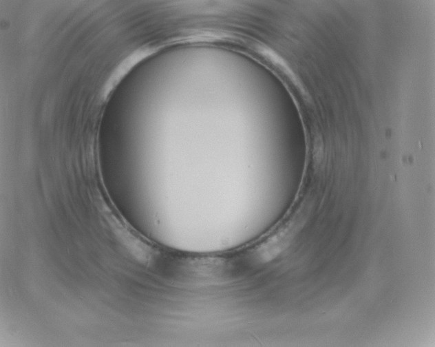 X0000060741417200511241626