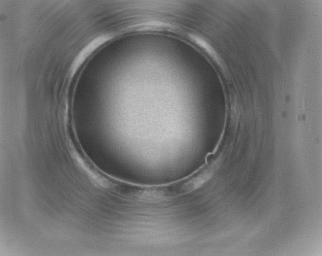 X0000060741418200511241626