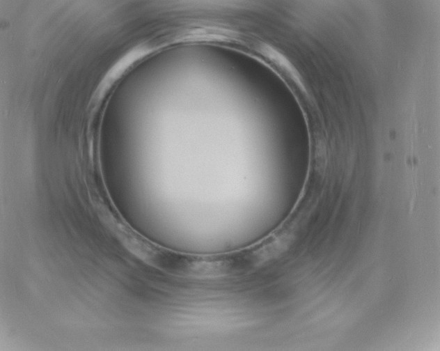 X0000060741419200511241626