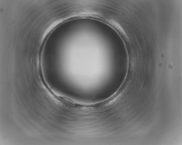 X0000060741420200511241626