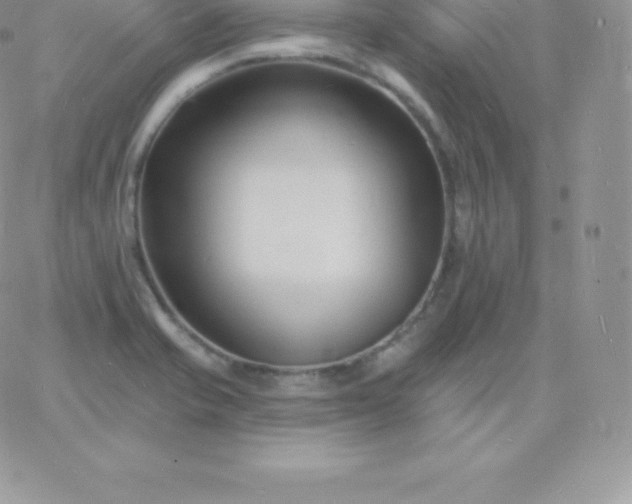 X0000060741421200511241626