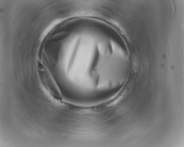 X0000060741422200511241626