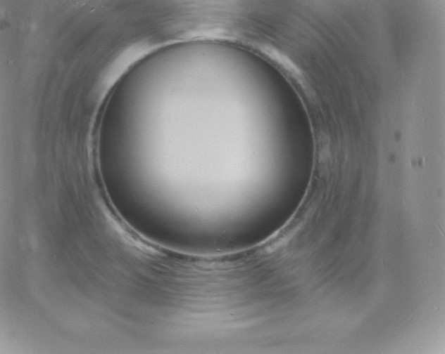 X0000060741423200511241626