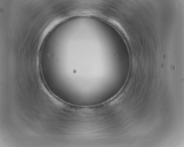 X0000060741424200511241627