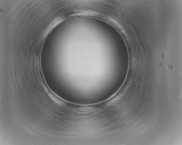 X0000060741425200511241627