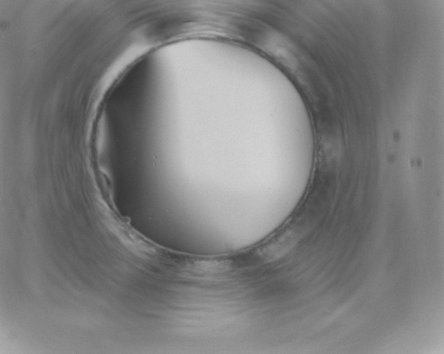 X0000060741427200511241627