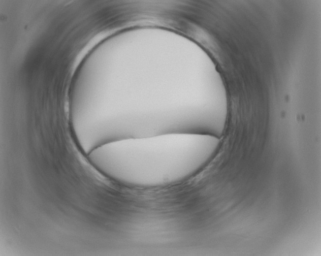 X0000060741428200511241627