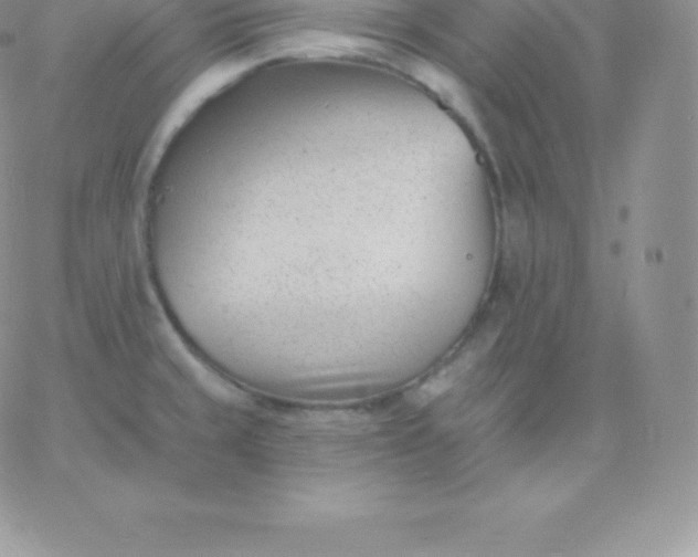 X0000060741429200511241627