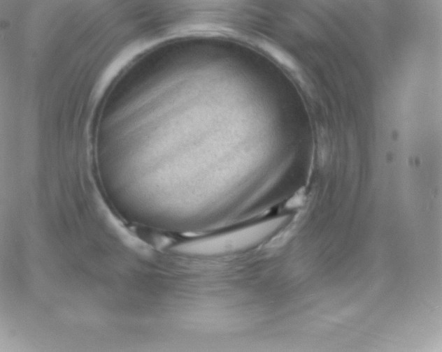 X0000060741430200511241627