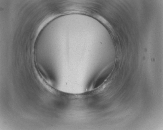 X0000060741431200511241627