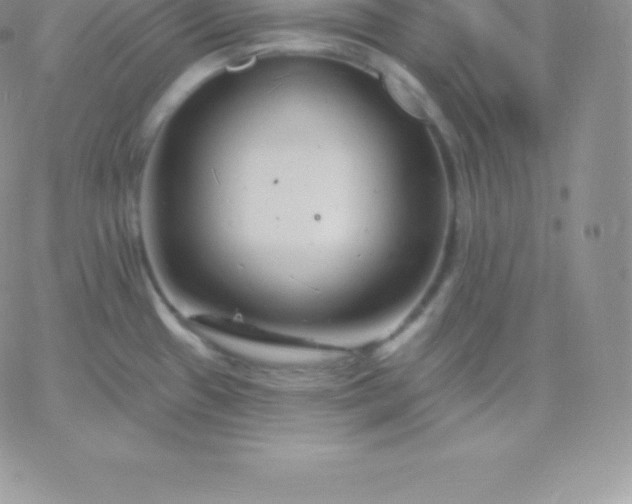 X0000060741433200511241627