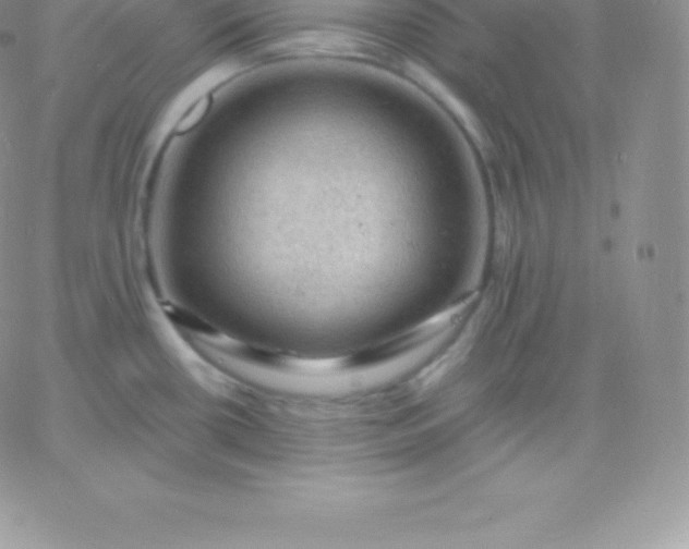 X0000060741434200511241627